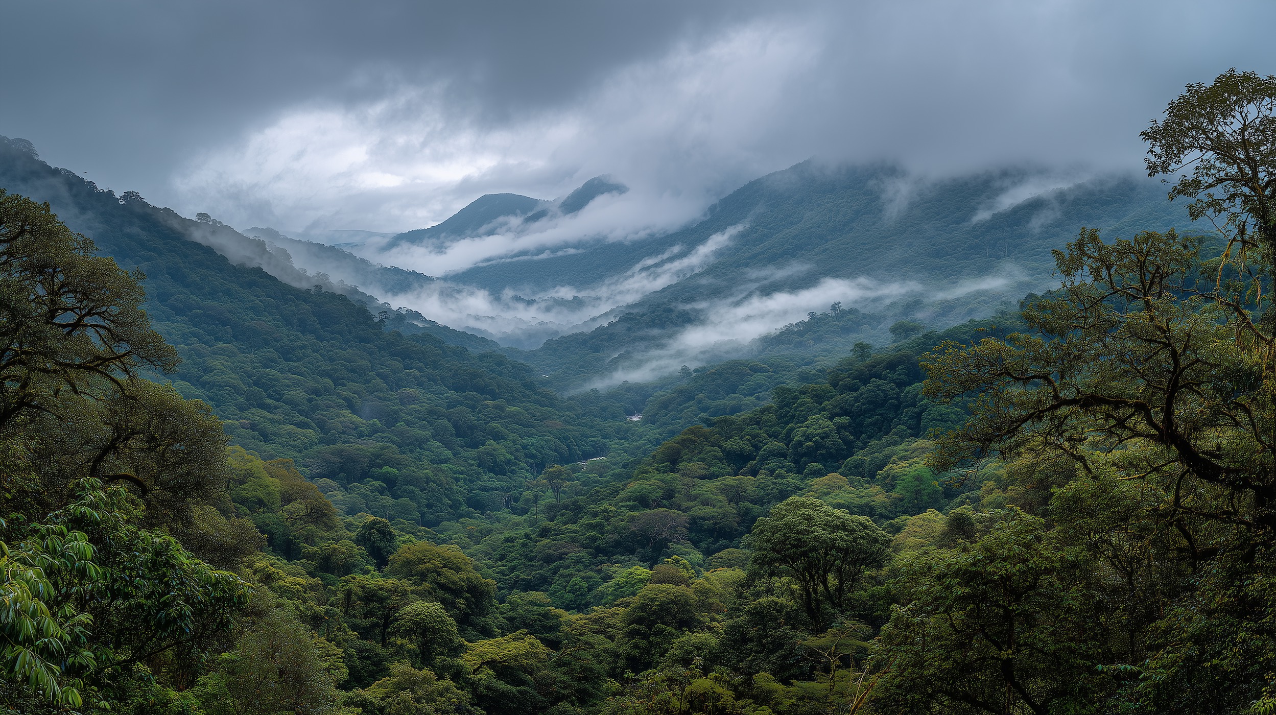 forest-hills.jpg