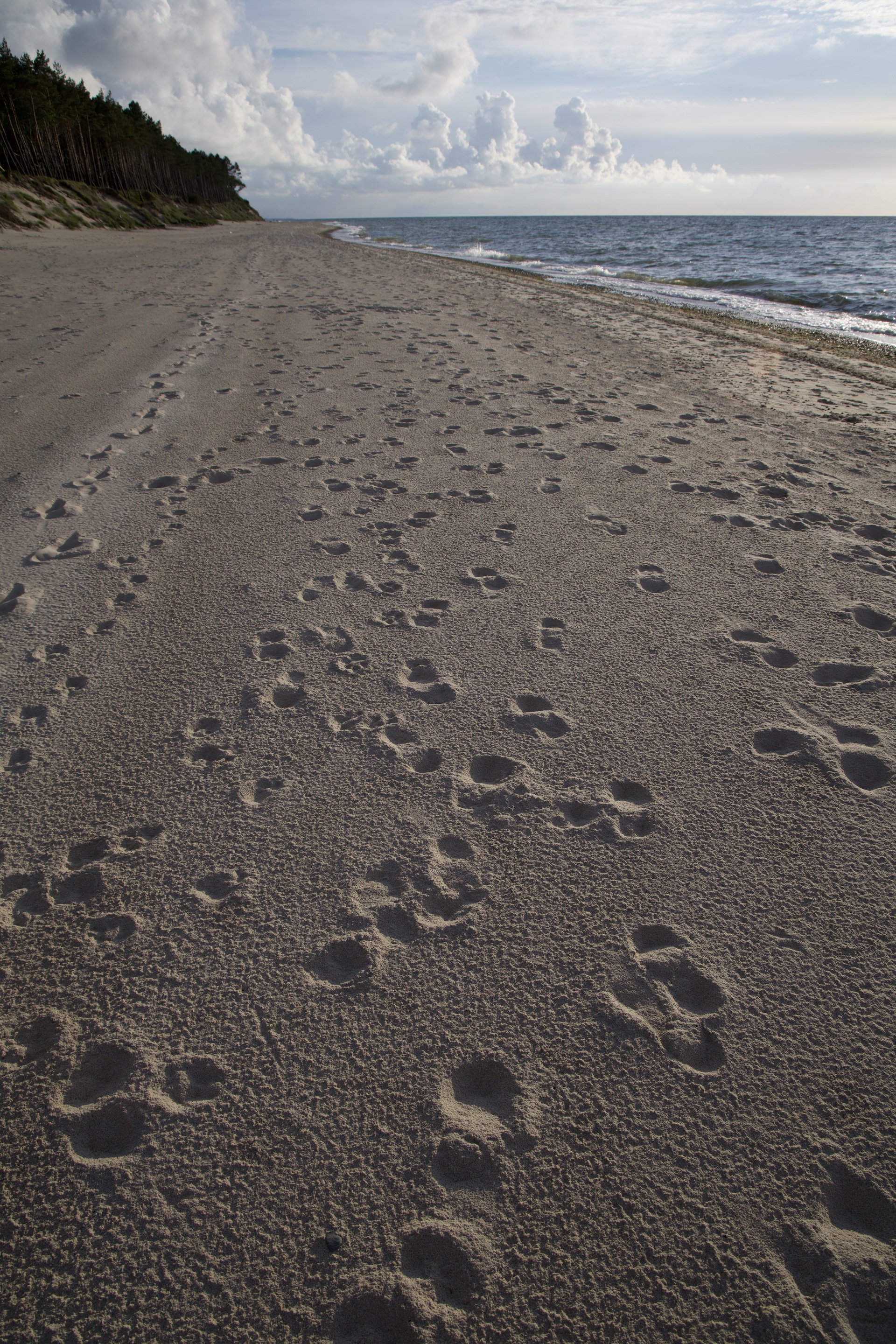 Stopy na piasku plaży